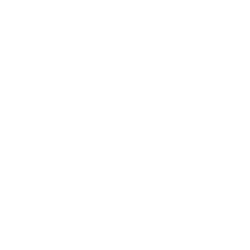 leolight logo 250px