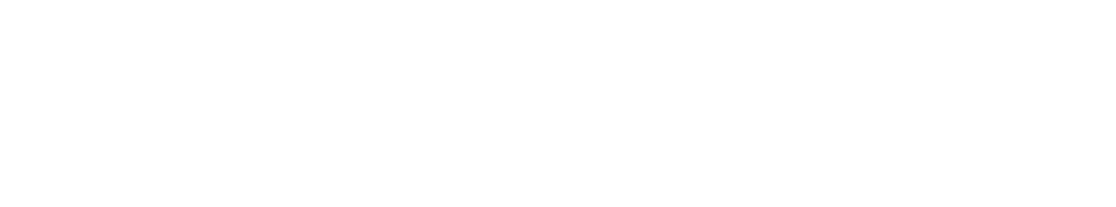 nimbflow white full logo