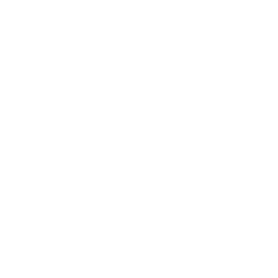 winston ai logo 250px